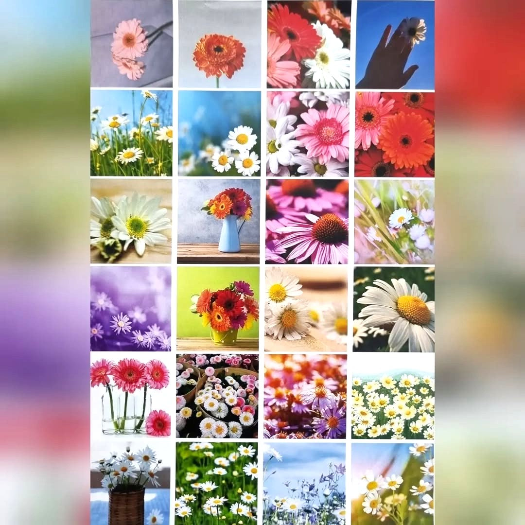 Sticker Sheets - Daisy Theme