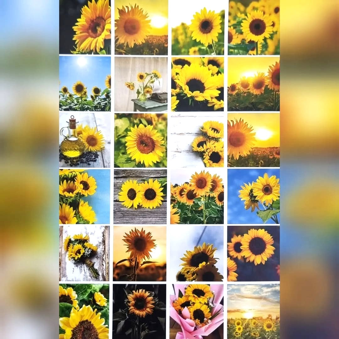 Sticker Sheets - Sunflower Theme