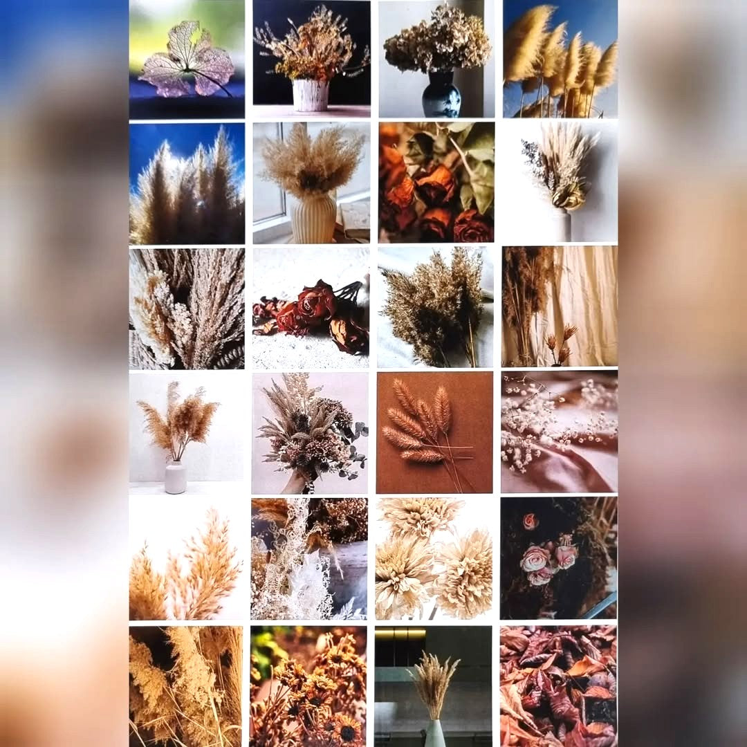 Sticker Sheets - Vintage Dry Grass Theme