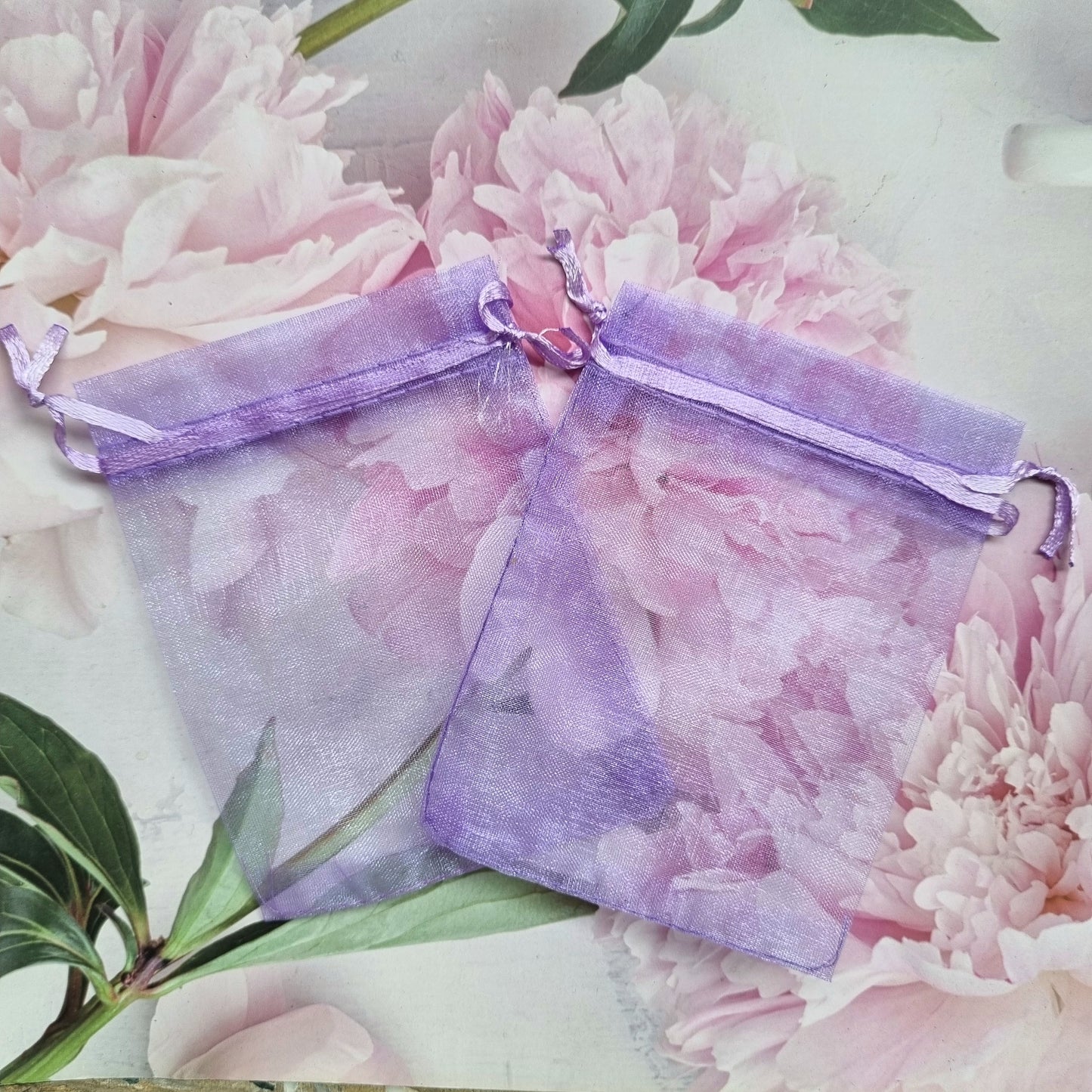 Organza Potli Bag