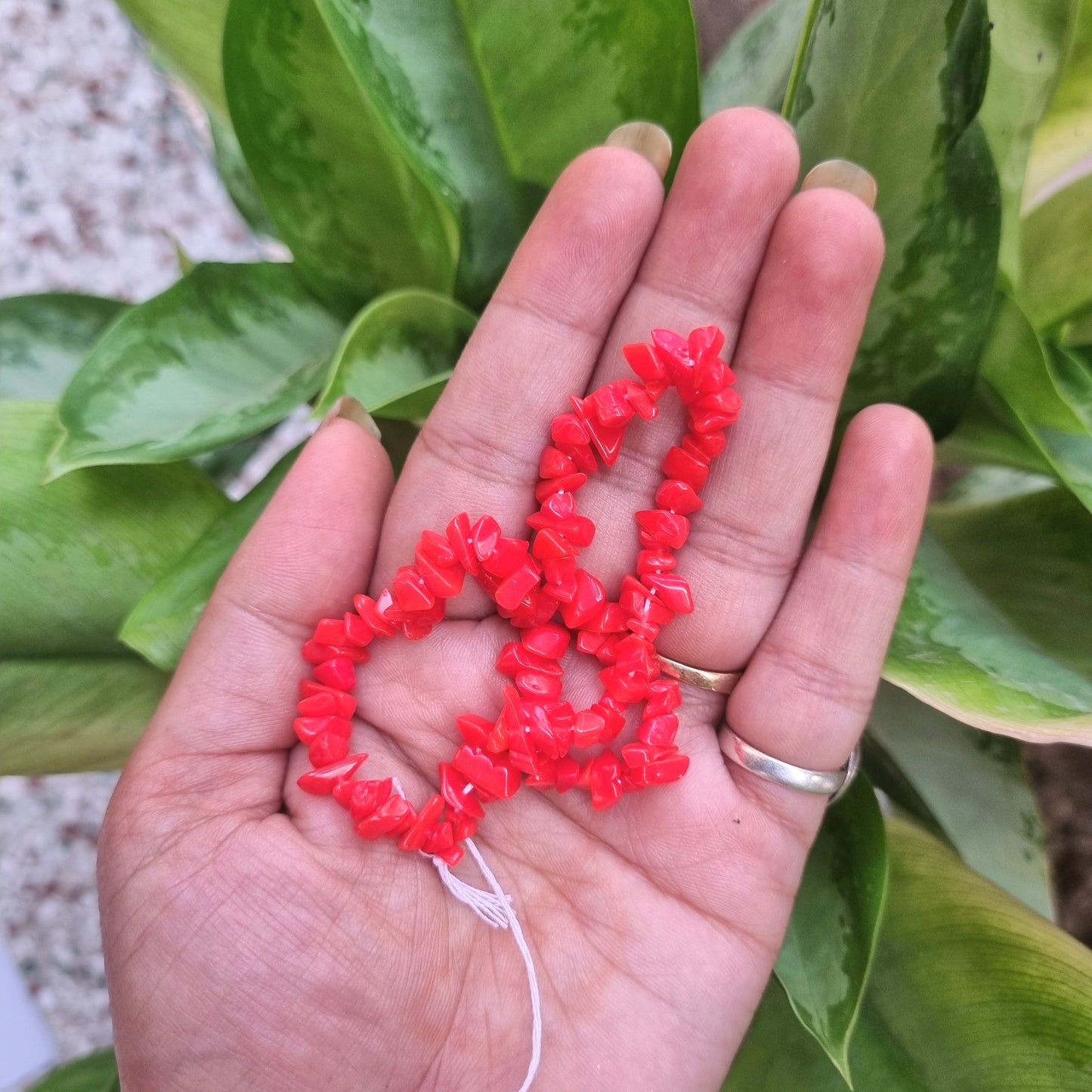Chip Beads