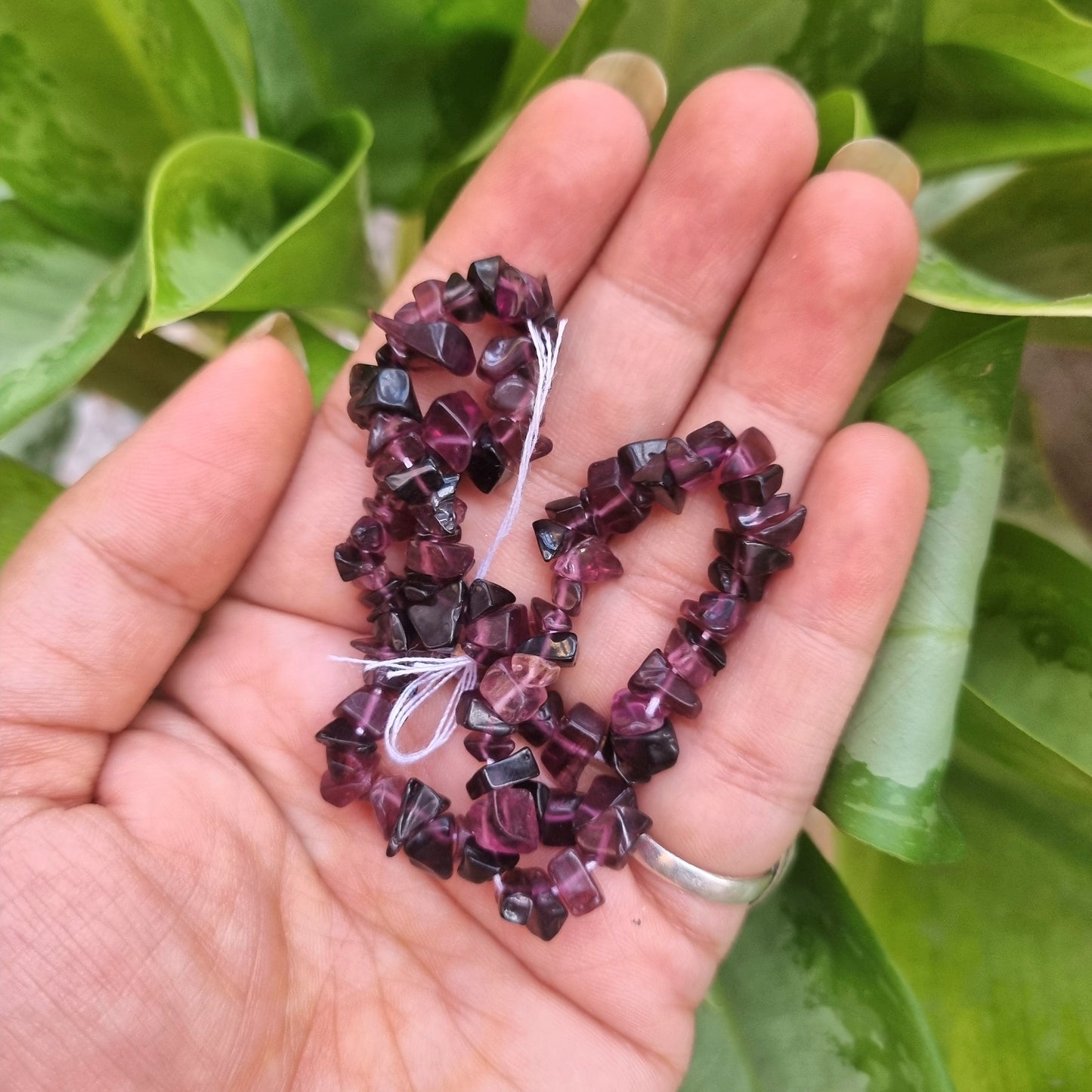 Chip Beads - Transparent