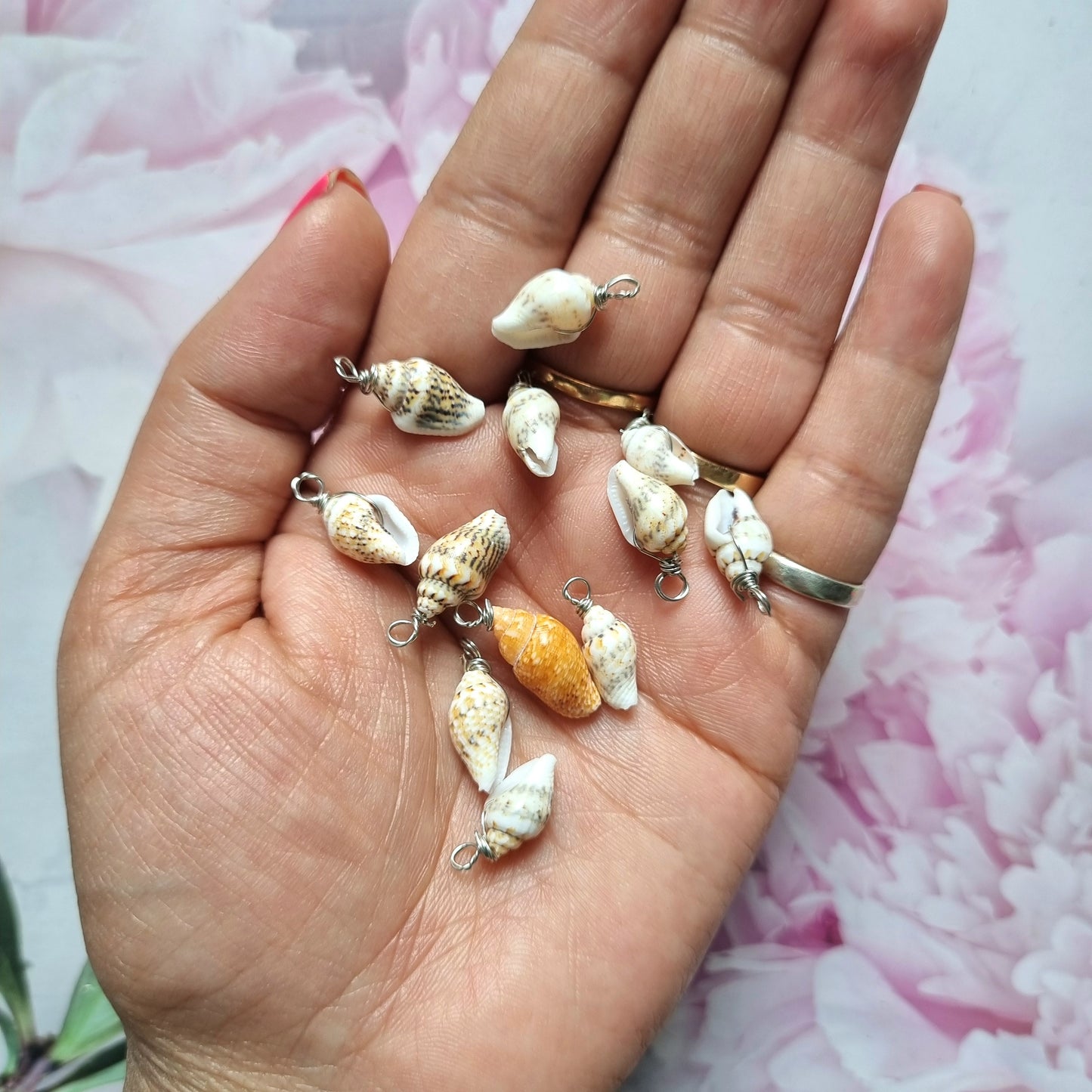Luxury Shell Charms