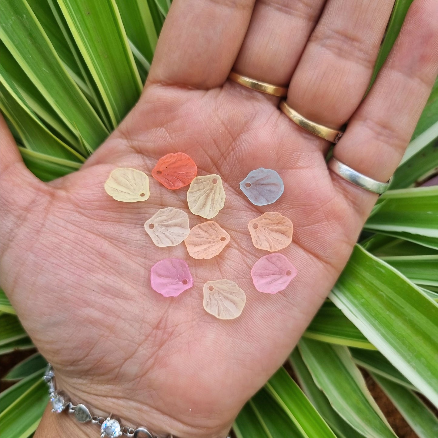 Acrylic Frost Shell Petals