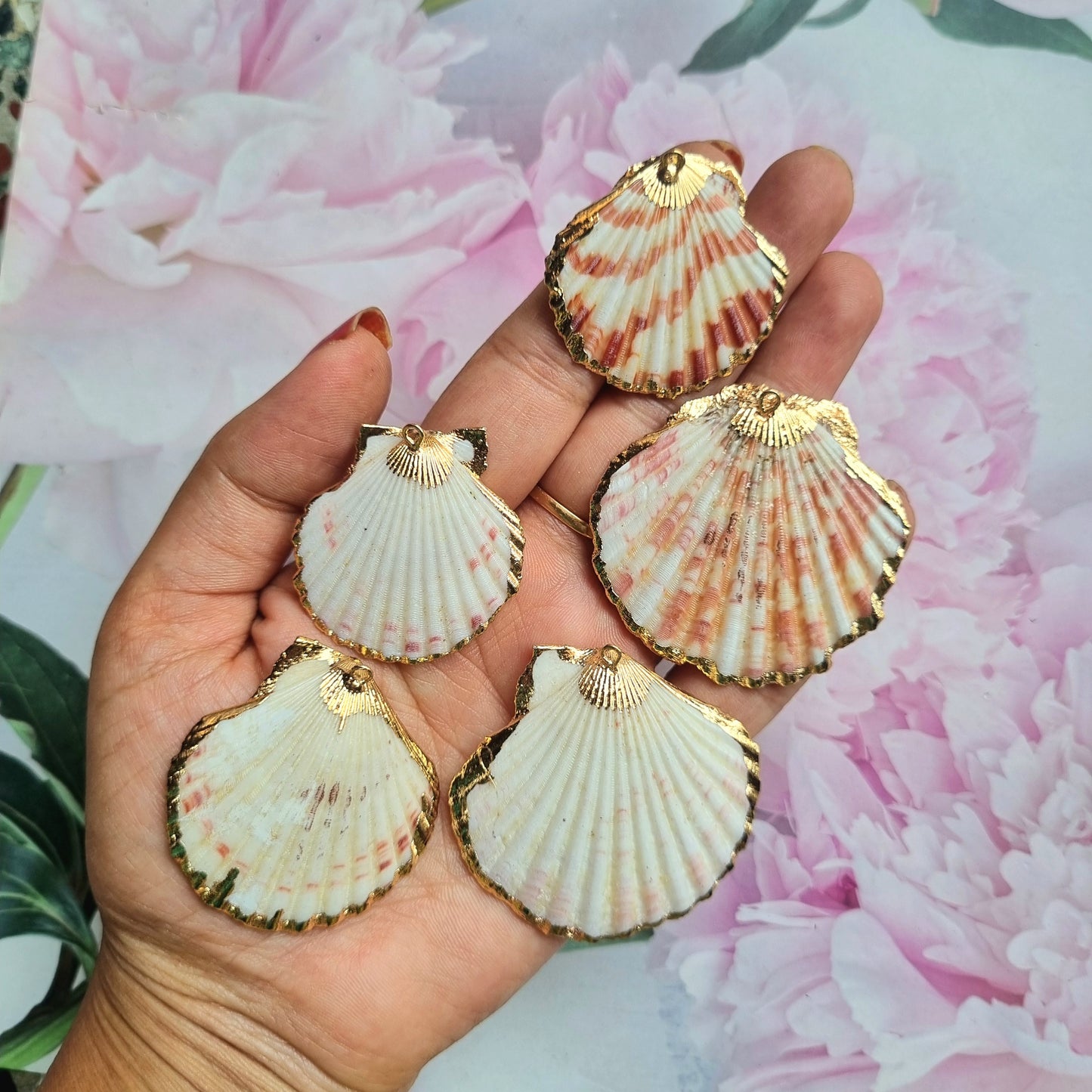 Luxury Shell Charms