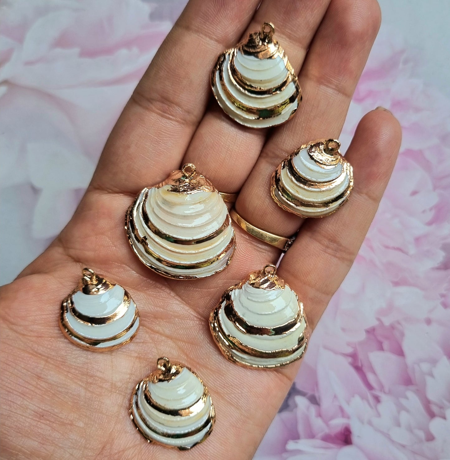 Luxury Shell Charms