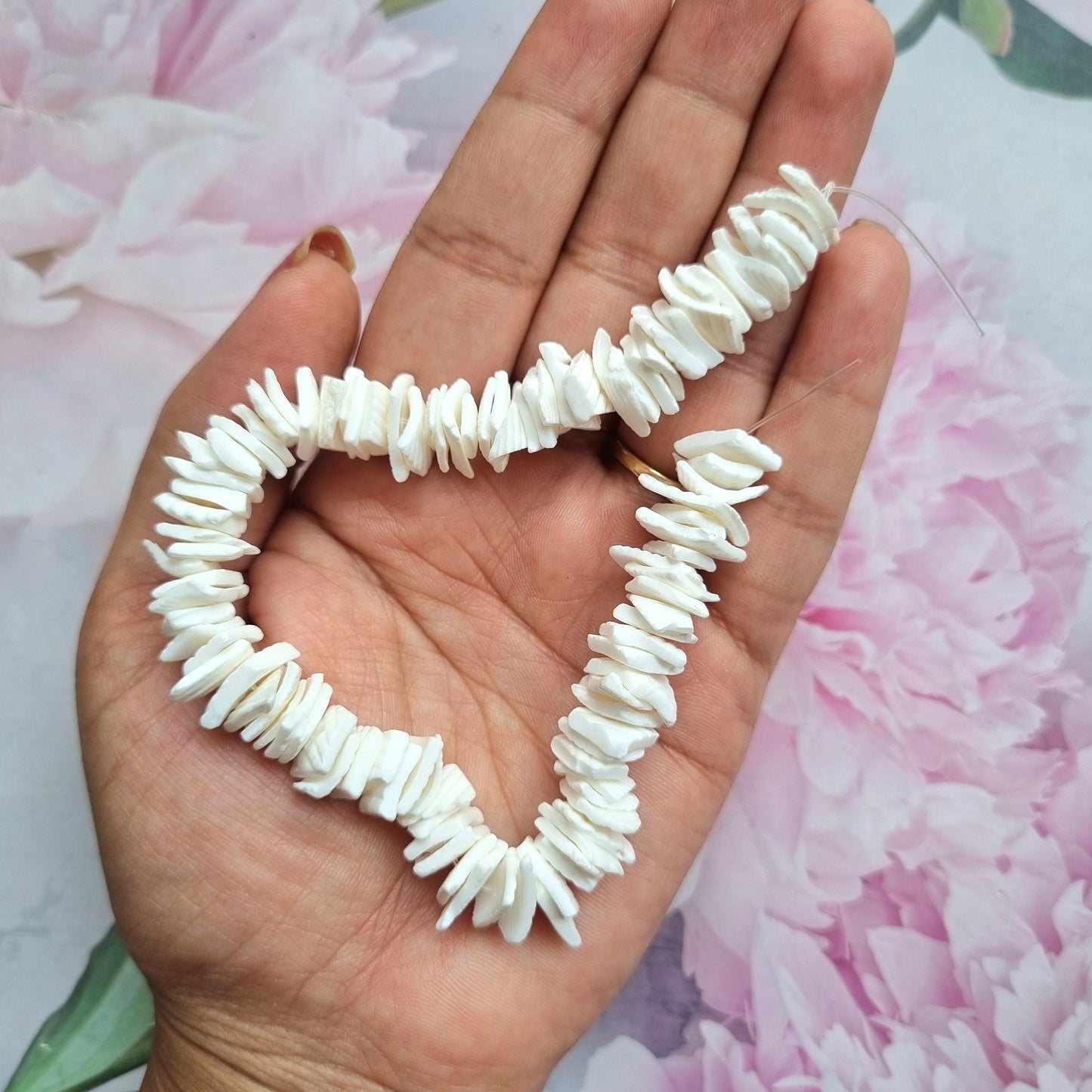 Natural White Shell Chip Beads Strands