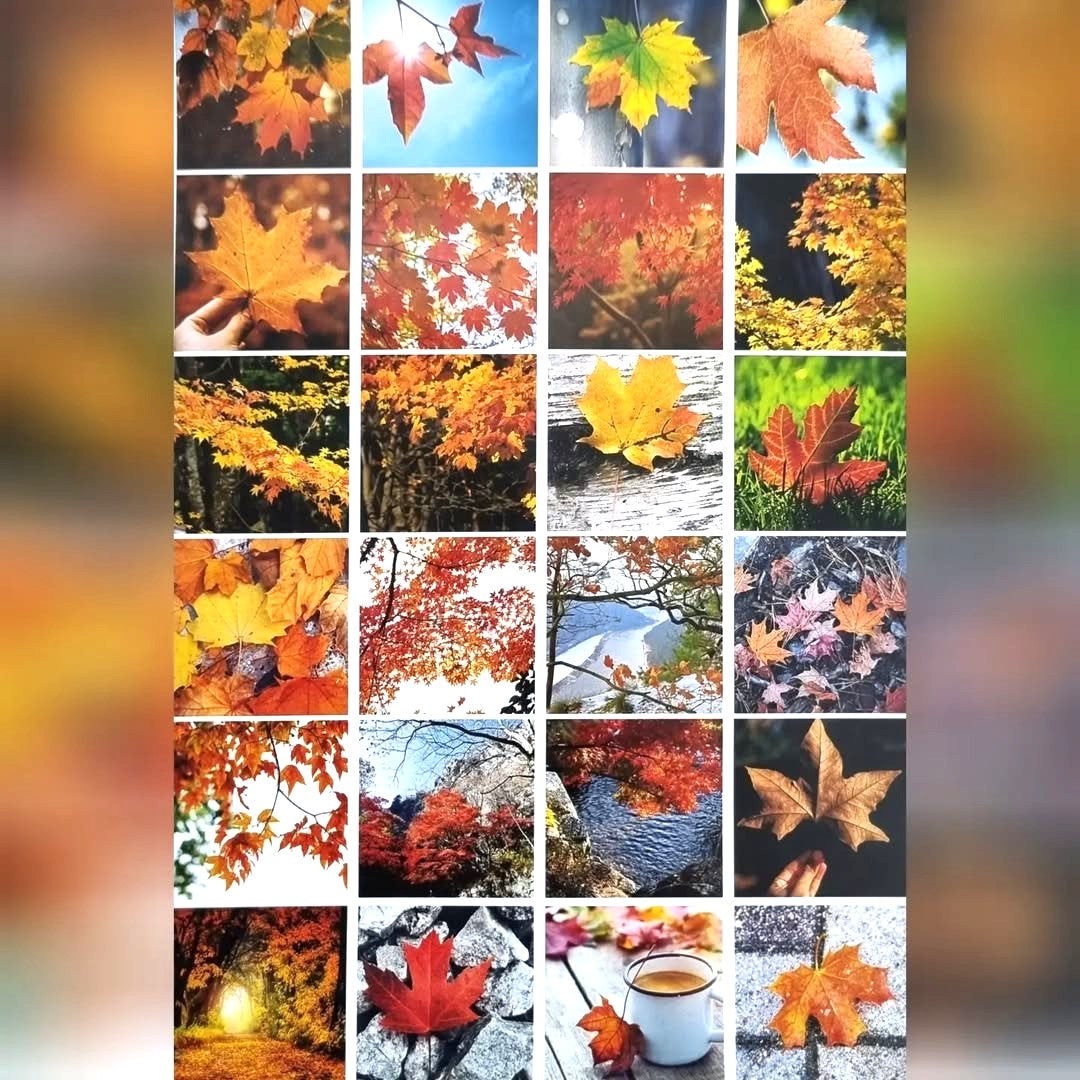 Sticker Sheets - Maple Leaf Theme