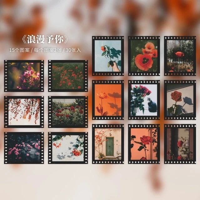 Aesthetic PET Film stickers