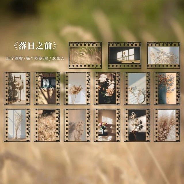 Aesthetic PET Film stickers