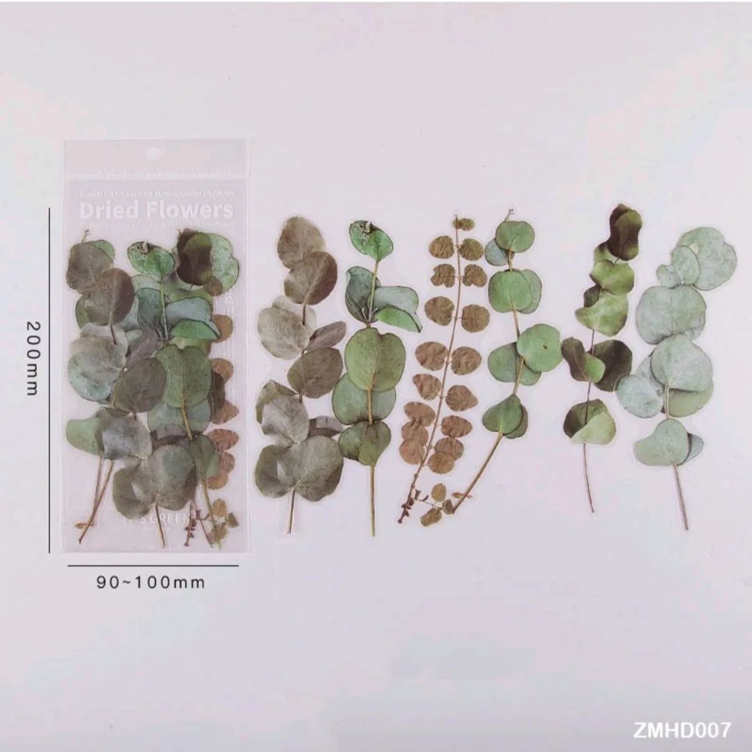 Dried Flowers / Leaves PET Stickers