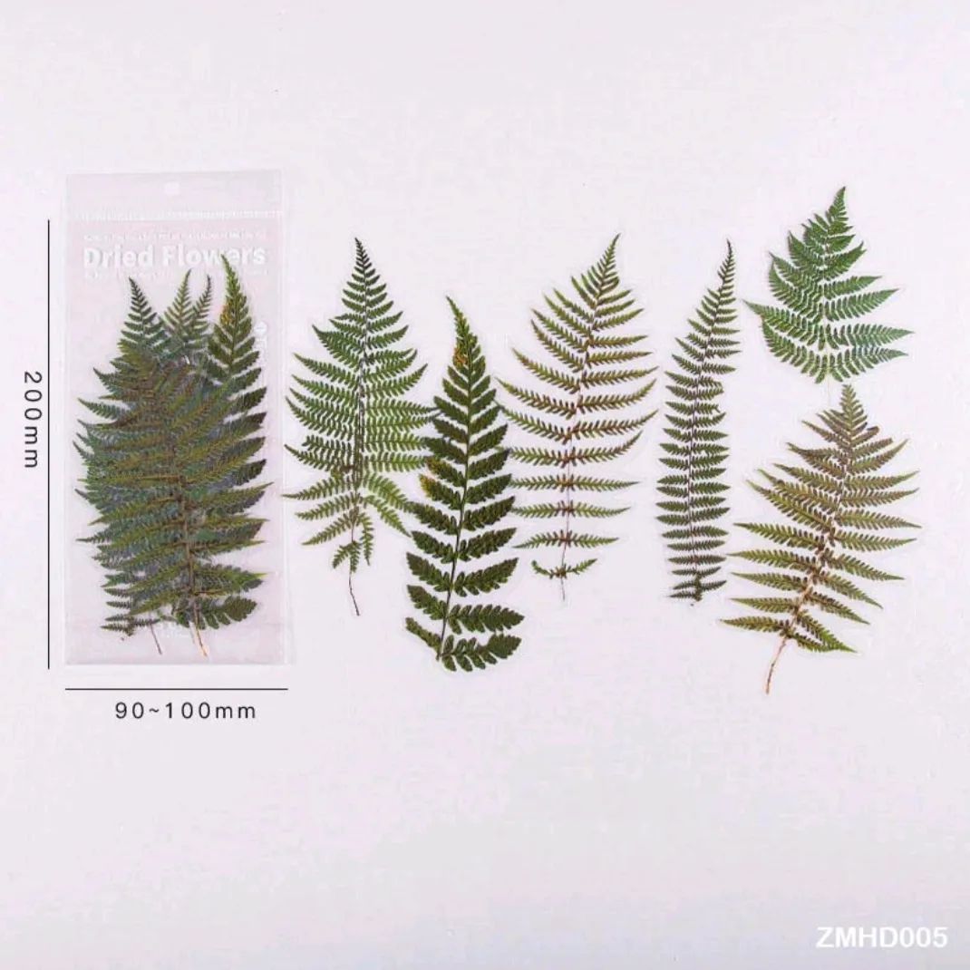 Dried Flowers / Leaves PET Stickers