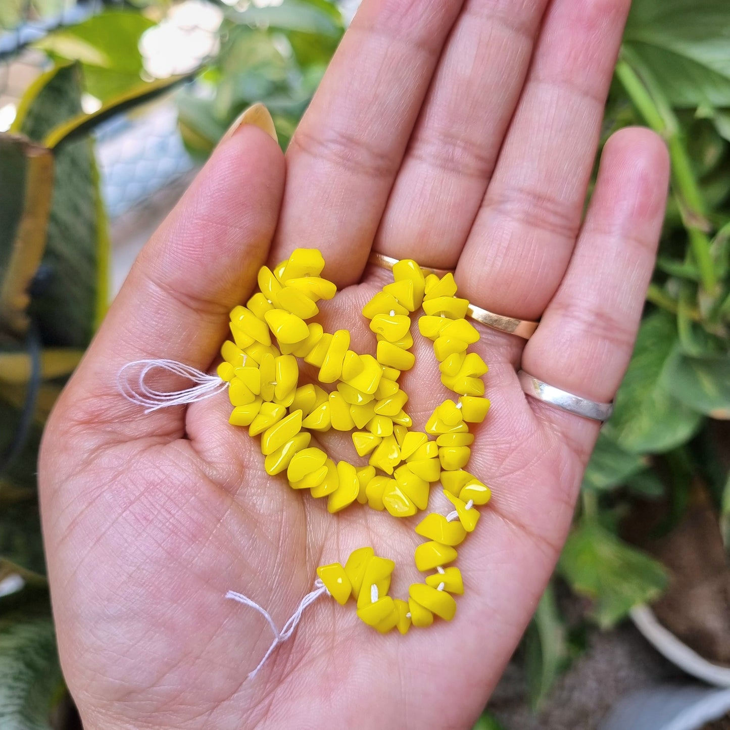 Chip Beads