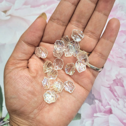 Acrylic Rainbow Shine Shells (small)