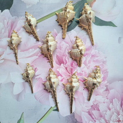 Luxury Shell Charms