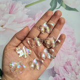 Acrylic Rainbow Shine Leaves