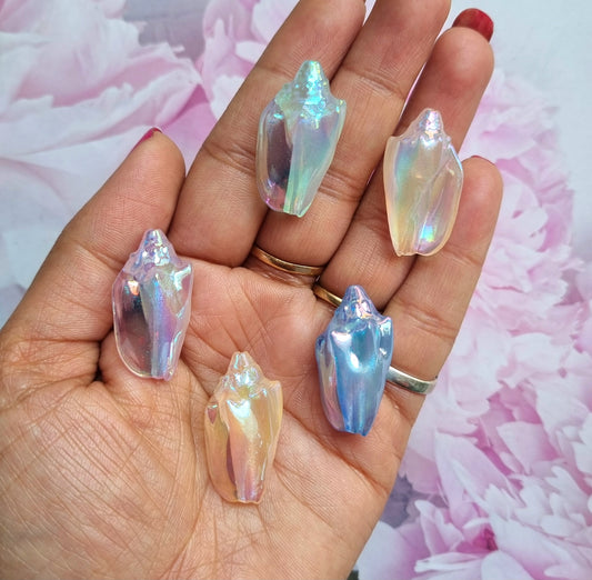 Rainbow Iridescent Conch Shell Beads