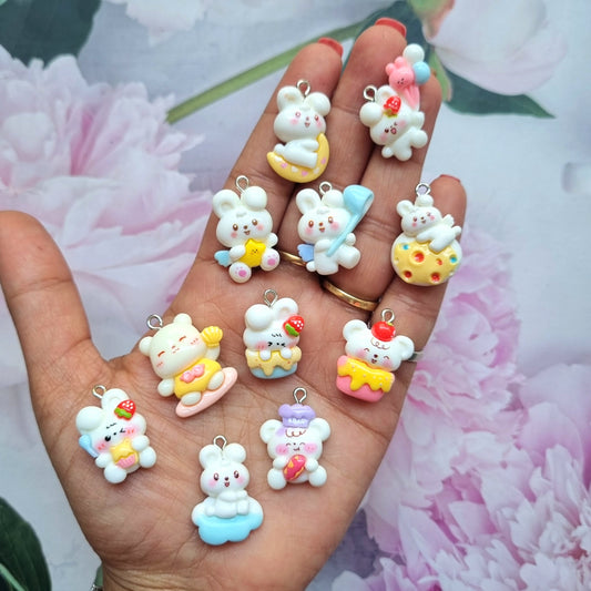 Resin Charms - Rabbit Mixed Shape