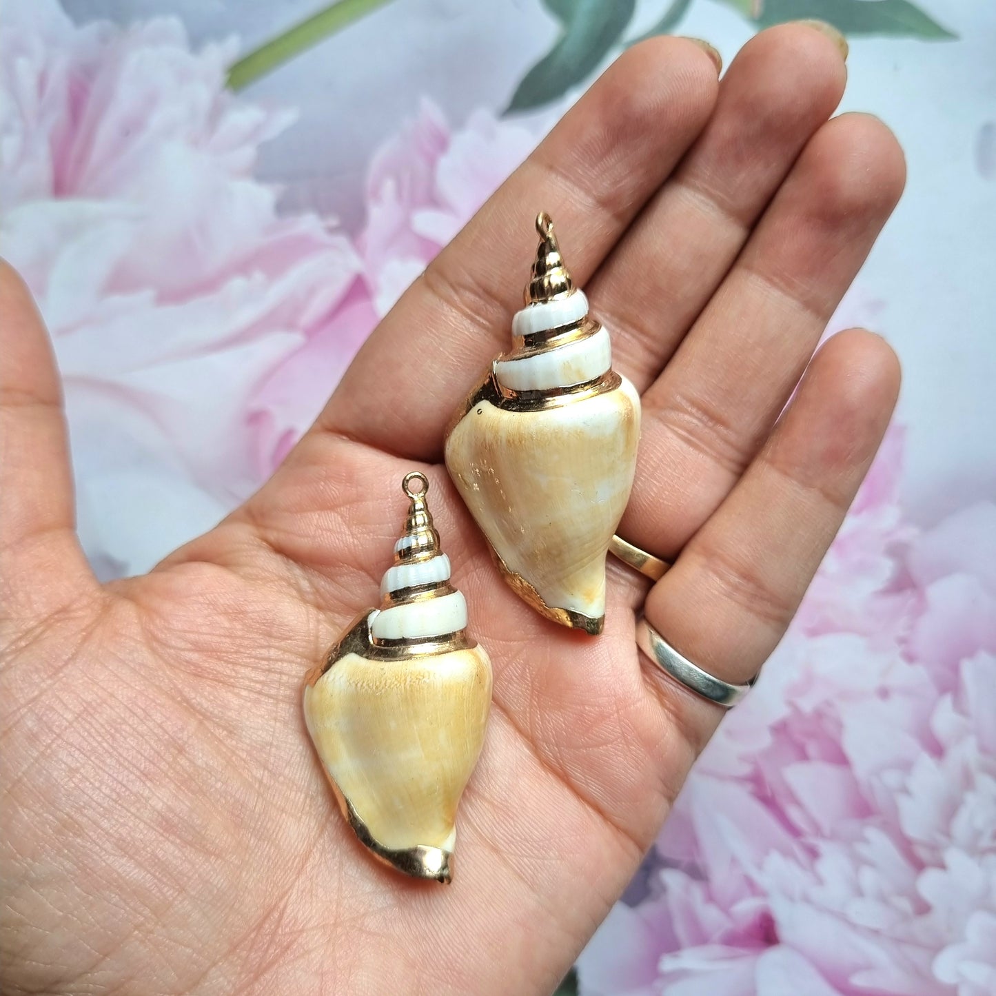 Luxury Shell Charms