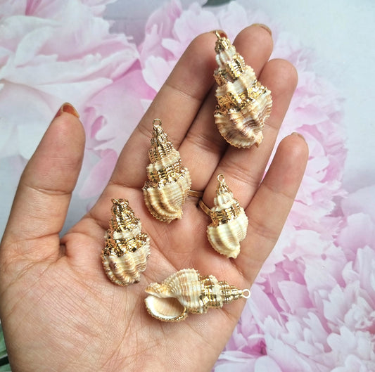 Luxury Shell Charms