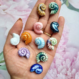 Porcelain Beads - Coiled Shell /  Snail