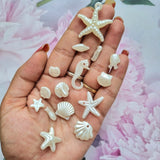 Pearlish Sea Creature