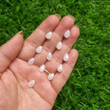 Glass Snow White Drop Beads