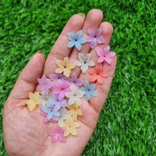 Acrylic Frost pastel Flower Caps