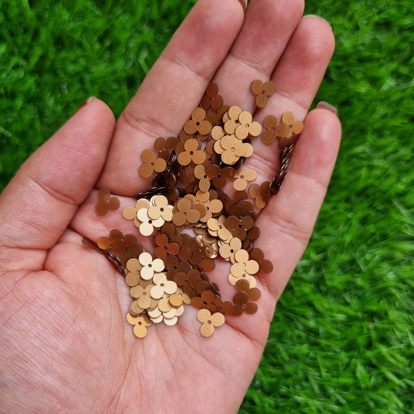 Sequins - Copper Family