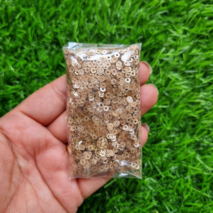 Glitter Sequins