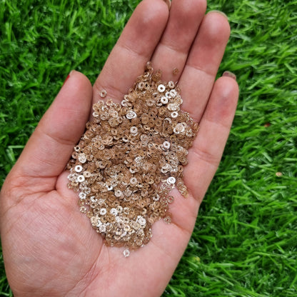 Glitter Sequins