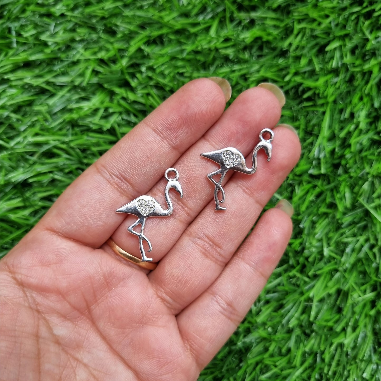 Silver Charm - Flamingo