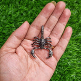 Metal Charm - Scorpion