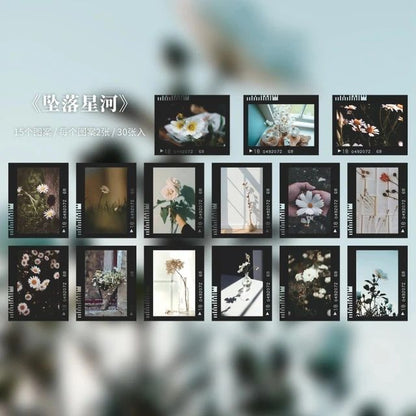 Aesthetic PET Film stickers