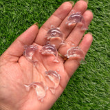 Acrylic Transparent Dolphin Charms