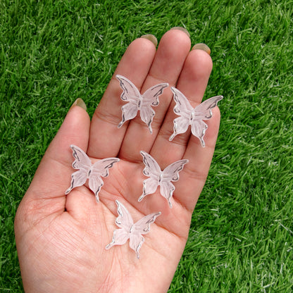 Acrylic Frost Butterly