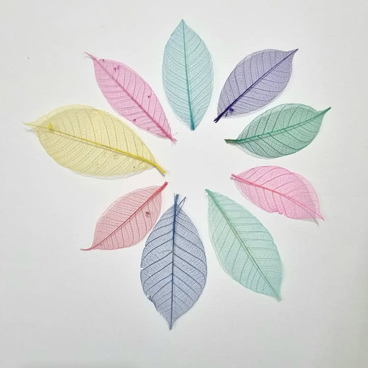 Skeleton Leaf