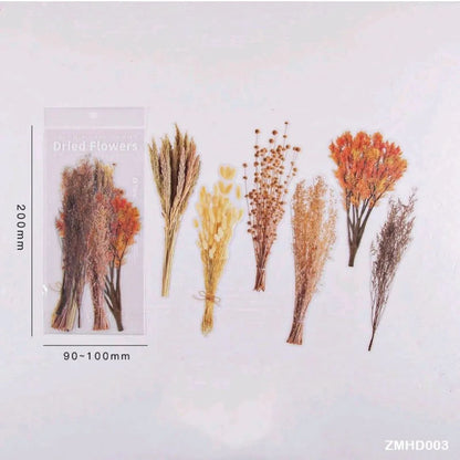 Dried Flowers / Leaves PET Stickers