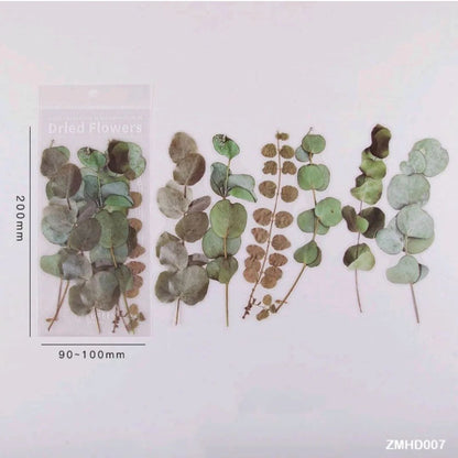 Dried Flowers / Leaves PET Stickers