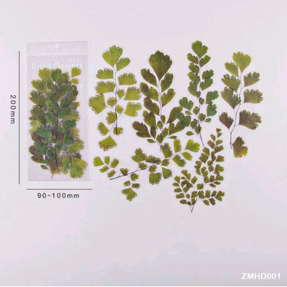 Dried Flowers / Leaves PET Stickers