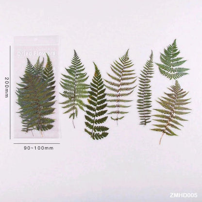 Dried Flowers / Leaves PET Stickers