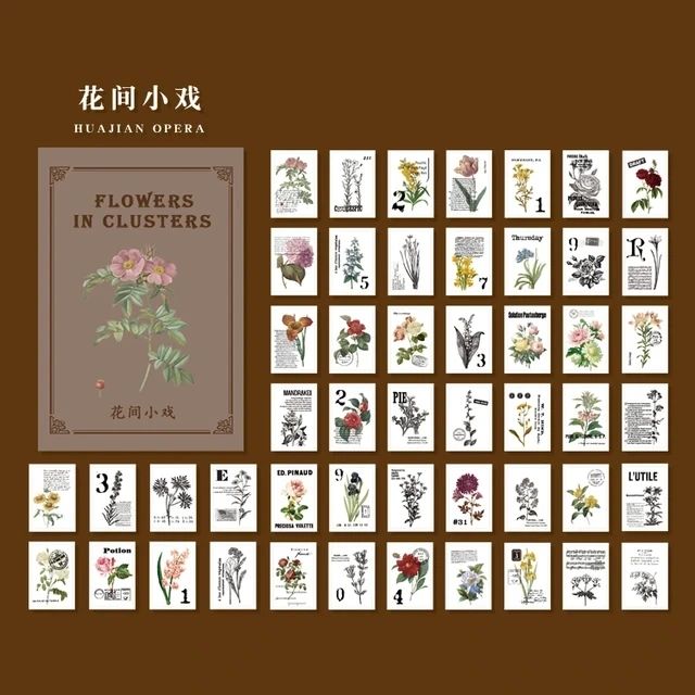 Vellum Vintage Booklet (50 Sheets) | Size - 4*6cm