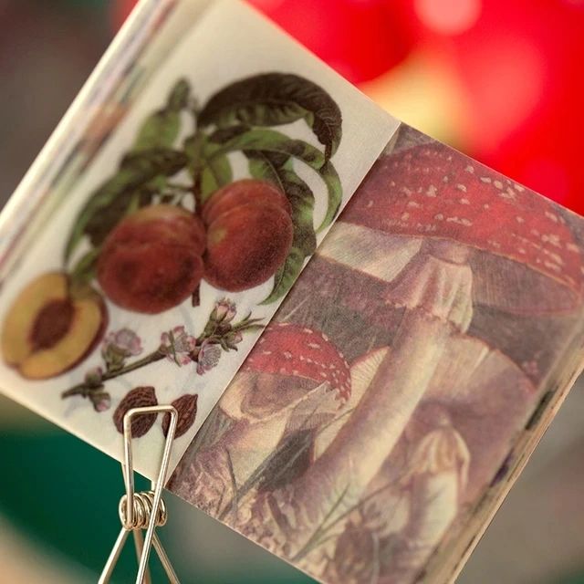 Vellum Vintage Booklet (50 Sheets) | Size - 4*6cm