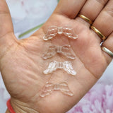 Acrylic Transparent Wings
