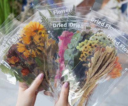 Dried Flowers / Leaves PET Stickers