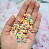 Polymer Shaker - Mix Fruits