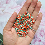 Polymer Shaker - Watermelon